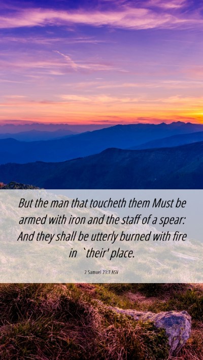 Picture 06 - 2 Samuel 23:7 ASV Mobile Phone Wallpaper - But the man that toucheth them Must be armed with - Mobile Bible Verse Wallpaper