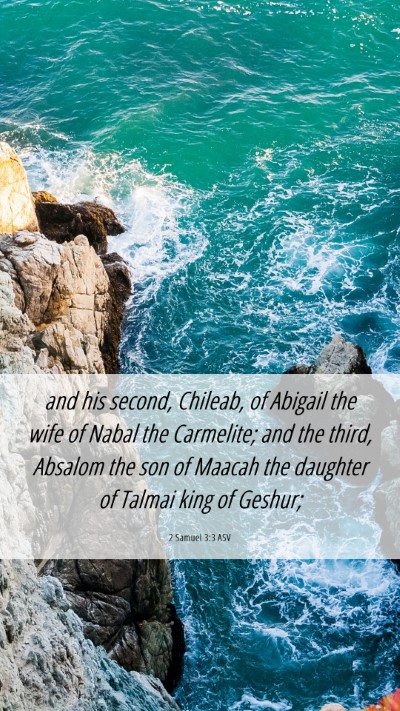 Picture 06 - 2 Samuel 3:3 ASV Mobile Phone Wallpaper - and his second, Chileab, of Abigail the wife of - Mobile Bible Verse Wallpaper