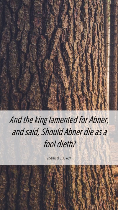 Picture 06 - 2 Samuel 3:33 ASV Mobile Phone Wallpaper - And the king lamented for Abner, and said, Should - Mobile Bible Verse Wallpaper