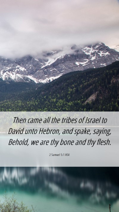 Picture 06 - 2 Samuel 5:1 ASV Mobile Phone Wallpaper - Then came all the tribes of Israel to David unto - Mobile Bible Verse Wallpaper