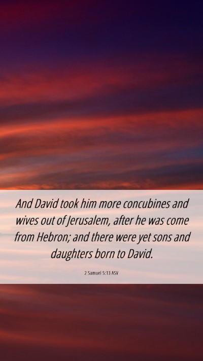 Picture 06 - 2 Samuel 5:13 ASV Mobile Phone Wallpaper - And David took him more concubines and wives out - Mobile Bible Verse Wallpaper
