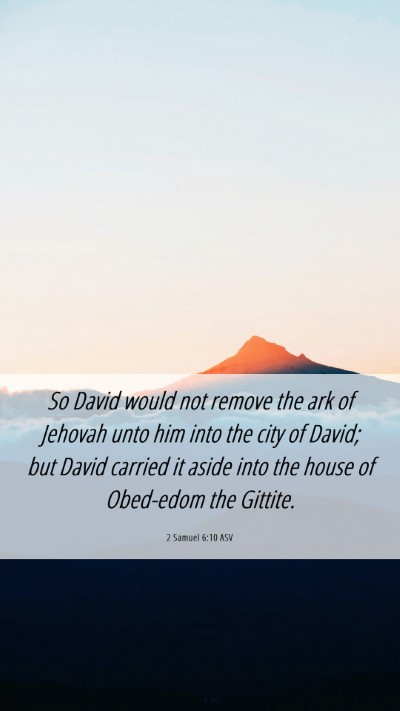 Picture 06 - 2 Samuel 6:10 ASV Mobile Phone Wallpaper - So David would not remove the ark of Jehovah unto - Mobile Bible Verse Wallpaper