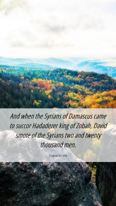 Picture 06 - 2 Samuel 8:5 ASV Mobile Phone Wallpaper - And when the Syrians of Damascus came to succor - Mobile Bible Verse Wallpaper