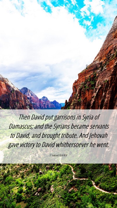 Picture 06 - 2 Samuel 8:6 ASV Mobile Phone Wallpaper - Then David put garrisons in Syria of Damascus; - Mobile Bible Verse Wallpaper