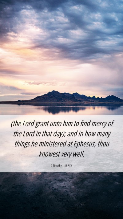 Picture 06 - 2 Timothy 1:18 ASV Mobile Phone Wallpaper - (the Lord grant unto him to find mercy of the - Mobile Bible Verse Wallpaper