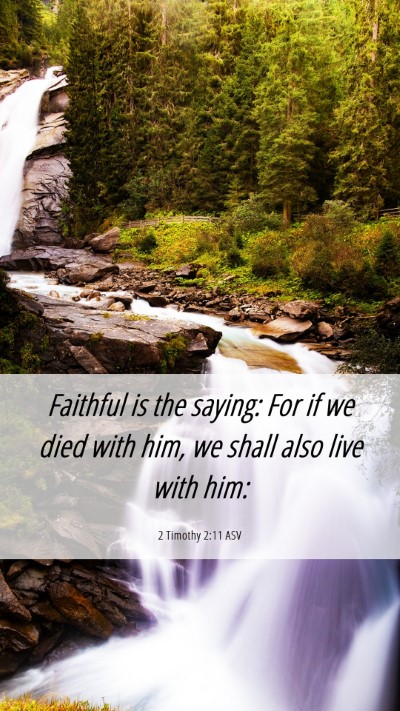 Picture 06 - 2 Timothy 2:11 ASV Mobile Phone Wallpaper - Faithful is the saying: For if we died with him, - Mobile Bible Verse Wallpaper