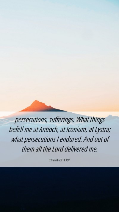 Picture 06 - 2 Timothy 3:11 ASV Mobile Phone Wallpaper - persecutions, sufferings. What things befell me - Mobile Bible Verse Wallpaper