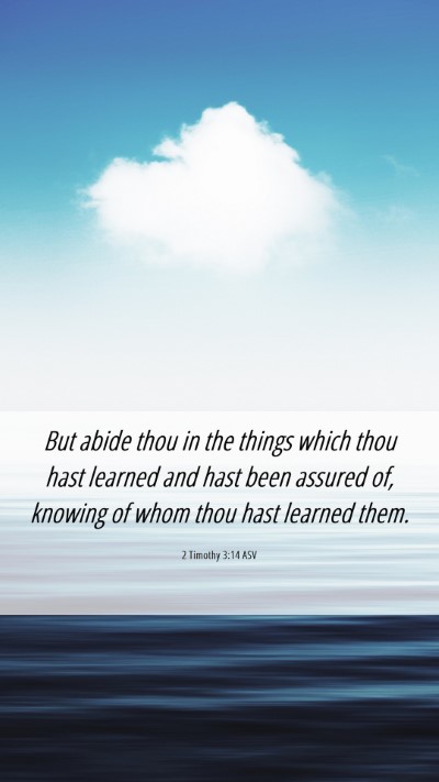 Picture 06 - 2 Timothy 3:14 ASV Mobile Phone Wallpaper - But abide thou in the things which thou hast - Mobile Bible Verse Wallpaper