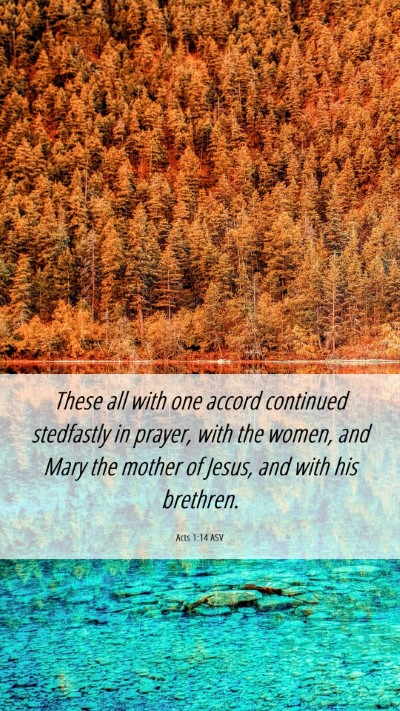 Picture 06 - Acts 1:14 ASV Mobile Phone Wallpaper - These all with one accord continued stedfastly in - Mobile Bible Verse Wallpaper