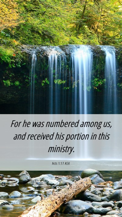 Picture 06 - Acts 1:17 ASV Mobile Phone Wallpaper - For he was numbered among us, and received his - Mobile Bible Verse Wallpaper