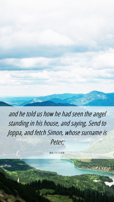 Picture 06 - Acts 11:13 ASV Mobile Phone Wallpaper - and he told us how he had seen the angel standing - Mobile Bible Verse Wallpaper