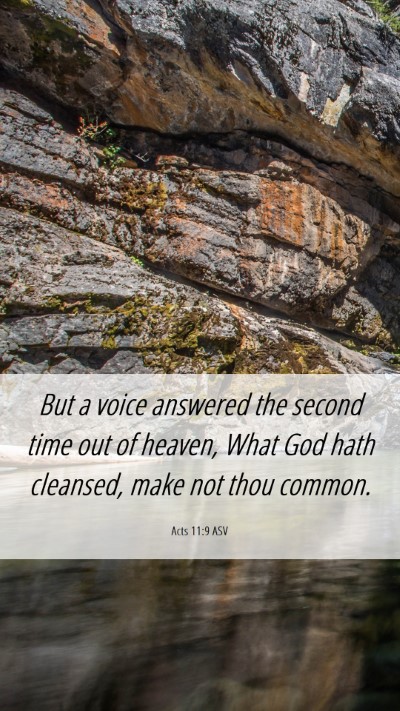 Picture 06 - Acts 11:9 ASV Mobile Phone Wallpaper - But a voice answered the second time out of - Mobile Bible Verse Wallpaper