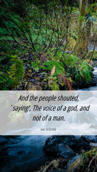 Picture 06 - Acts 12:22 ASV Mobile Phone Wallpaper - And the people shouted, `saying', The voice of a - Mobile Bible Verse Wallpaper