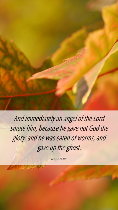 Picture 06 - Acts 12:23 ASV Mobile Phone Wallpaper - And immediately an angel of the Lord smote him, - Mobile Bible Verse Wallpaper