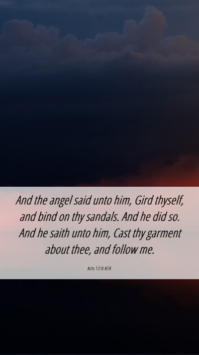 Picture 06 - Acts 12:8 ASV Mobile Phone Wallpaper - And the angel said unto him, Gird thyself, and - Mobile Bible Verse Wallpaper
