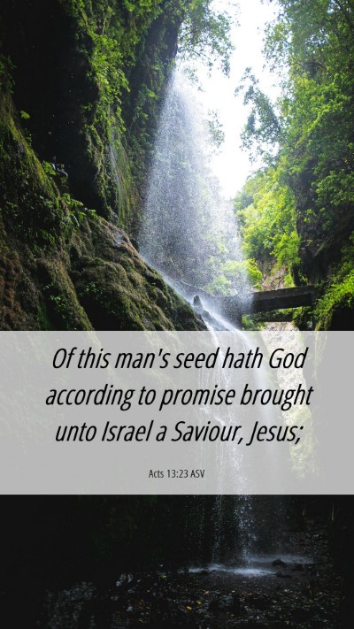 Picture 06 - Acts 13:23 ASV Mobile Phone Wallpaper - Of this man's seed hath God according to promise - Mobile Bible Verse Wallpaper