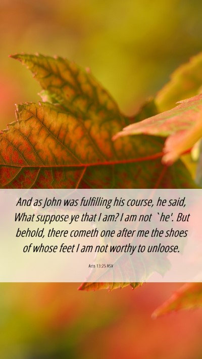 Picture 06 - Acts 13:25 ASV Mobile Phone Wallpaper - And as John was fulfilling his course, he said, - Mobile Bible Verse Wallpaper