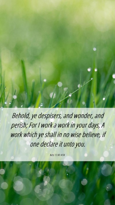 Picture 06 - Acts 13:41 ASV Mobile Phone Wallpaper - Behold, ye despisers, and wonder, and perish; For - Mobile Bible Verse Wallpaper