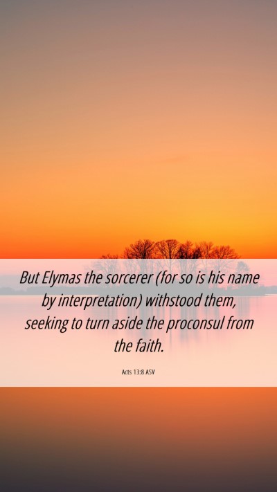Picture 06 - Acts 13:8 ASV Mobile Phone Wallpaper - But Elymas the sorcerer (for so is his name by - Mobile Bible Verse Wallpaper