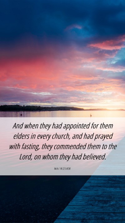 Picture 06 - Acts 14:23 ASV Mobile Phone Wallpaper - And when they had appointed for them elders in - Mobile Bible Verse Wallpaper