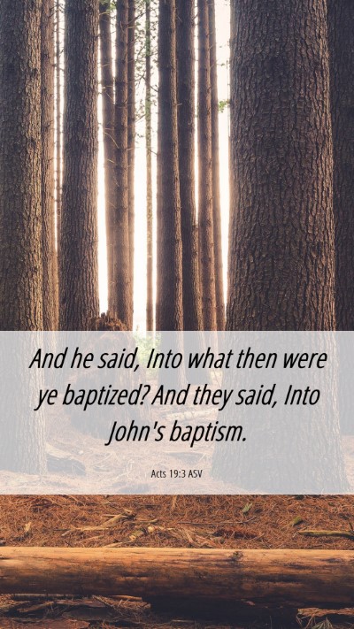 Picture 06 - Acts 19:3 ASV Mobile Phone Wallpaper - And he said, Into what then were ye baptized? And - Mobile Bible Verse Wallpaper