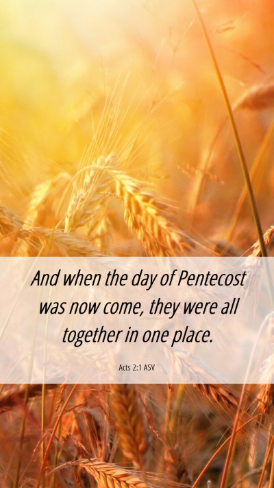 Picture 06 - Acts 2:1 ASV Mobile Phone Wallpaper - And when the day of Pentecost was now come, they - Mobile Bible Verse Wallpaper