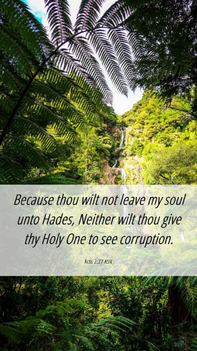 Picture 06 - Acts 2:27 ASV Mobile Phone Wallpaper - Because thou wilt not leave my soul unto Hades, - Mobile Bible Verse Wallpaper