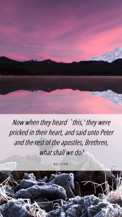 Picture 06 - Acts 2:37 ASV Mobile Phone Wallpaper - Now when they heard `this,' they were pricked in - Mobile Bible Verse Wallpaper