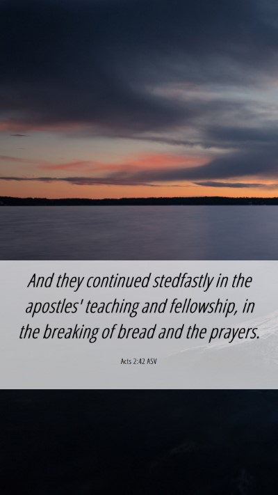 Picture 06 - Acts 2:42 ASV Mobile Phone Wallpaper - And they continued stedfastly in the apostles' - Mobile Bible Verse Wallpaper