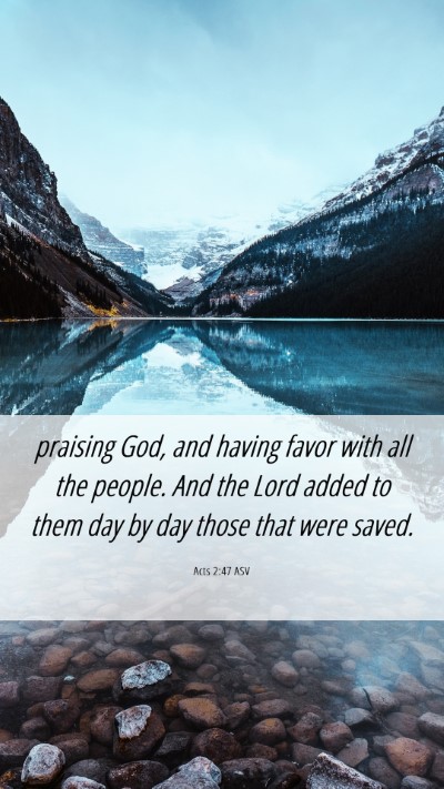 Picture 06 - Acts 2:47 ASV Mobile Phone Wallpaper - praising God, and having favor with all the - Mobile Bible Verse Wallpaper