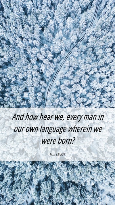 Picture 06 - Acts 2:8 ASV Mobile Phone Wallpaper - And how hear we, every man in our own language - Mobile Bible Verse Wallpaper