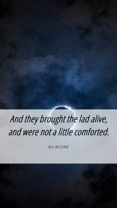 Picture 06 - Acts 20:12 ASV Mobile Phone Wallpaper - And they brought the lad alive, and were not a - Mobile Bible Verse Wallpaper