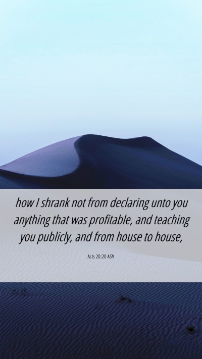 Picture 06 - Acts 20:20 ASV Mobile Phone Wallpaper - how I shrank not from declaring unto you anything - Mobile Bible Verse Wallpaper