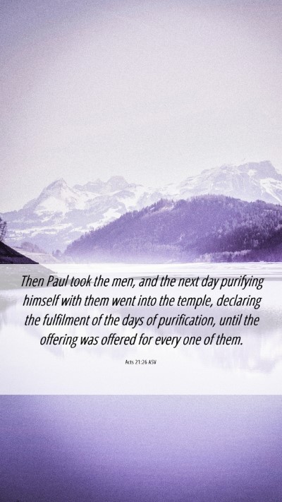 Picture 06 - Acts 21:26 ASV Mobile Phone Wallpaper - Then Paul took the men, and the next day - Mobile Bible Verse Wallpaper