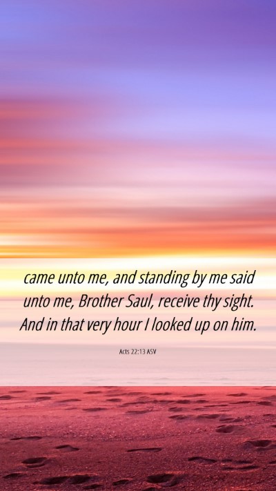 Picture 06 - Acts 22:13 ASV Mobile Phone Wallpaper - came unto me, and standing by me said unto me, - Mobile Bible Verse Wallpaper