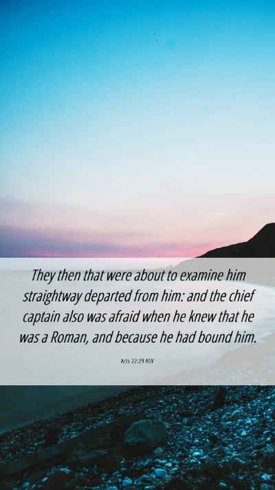 Picture 06 - Acts 22:29 ASV Mobile Phone Wallpaper - They then that were about to examine him - Mobile Bible Verse Wallpaper