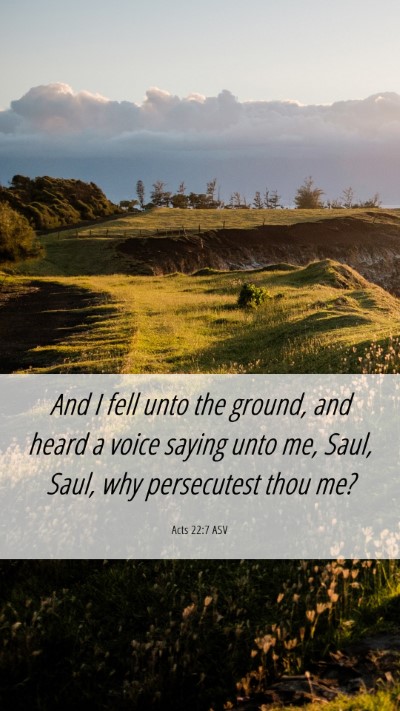 Picture 06 - Acts 22:7 ASV Mobile Phone Wallpaper - And I fell unto the ground, and heard a voice - Mobile Bible Verse Wallpaper