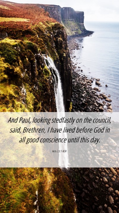 Picture 06 - Acts 23:1 ASV Mobile Phone Wallpaper - And Paul, looking stedfastly on the council, - Mobile Bible Verse Wallpaper