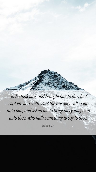 Picture 06 - Acts 23:18 ASV Mobile Phone Wallpaper - So he took him, and brought him to the chief - Mobile Bible Verse Wallpaper