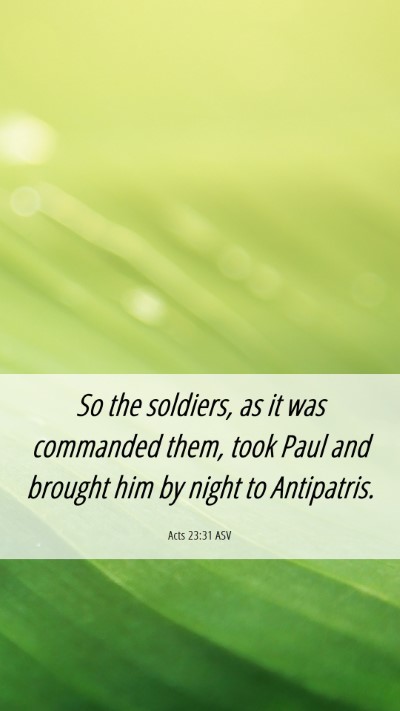 Picture 06 - Acts 23:31 ASV Mobile Phone Wallpaper - So the soldiers, as it was commanded them, took - Mobile Bible Verse Wallpaper
