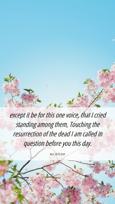 Picture 06 - Acts 24:21 ASV Mobile Phone Wallpaper - except it be for this one voice, that I cried - Mobile Bible Verse Wallpaper