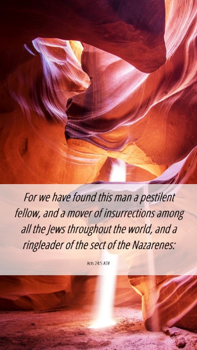 Picture 06 - Acts 24:5 ASV Mobile Phone Wallpaper - For we have found this man a pestilent fellow, - Mobile Bible Verse Wallpaper