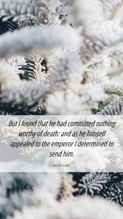 Picture 06 - Acts 25:25 ASV Mobile Phone Wallpaper - But I found that he had committed nothing worthy - Mobile Bible Verse Wallpaper