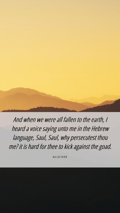 Picture 06 - Acts 26:14 ASV Mobile Phone Wallpaper - And when we were all fallen to the earth, I heard - Mobile Bible Verse Wallpaper