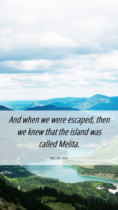 Picture 06 - Acts 28:1 ASV Mobile Phone Wallpaper - And when we were escaped, then we knew that the - Mobile Bible Verse Wallpaper