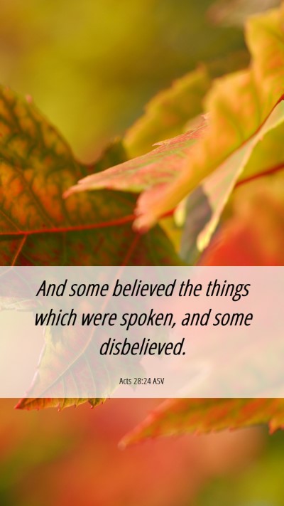 Picture 06 - Acts 28:24 ASV Mobile Phone Wallpaper - And some believed the things which were spoken, - Mobile Bible Verse Wallpaper