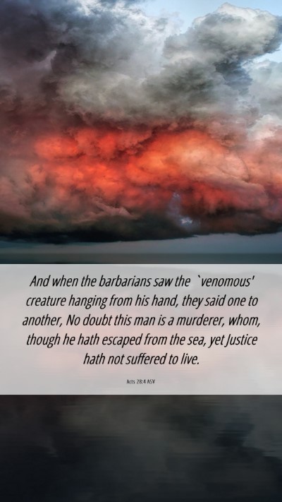 Picture 06 - Acts 28:4 ASV Mobile Phone Wallpaper - And when the barbarians saw the `venomous' - Mobile Bible Verse Wallpaper