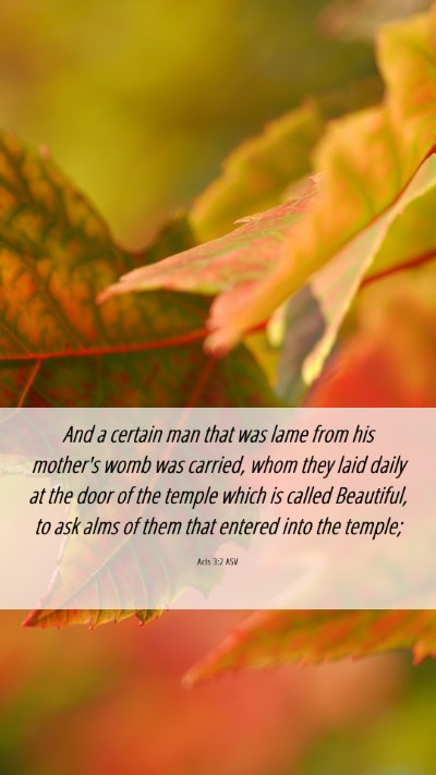 Picture 06 - Acts 3:2 ASV Mobile Phone Wallpaper - And a certain man that was lame from his mother's - Mobile Bible Verse Wallpaper