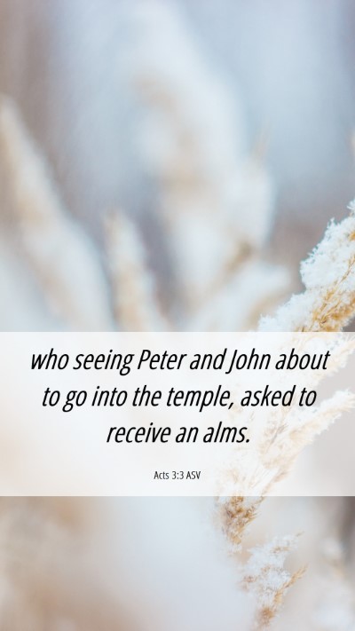 Picture 06 - Acts 3:3 ASV Mobile Phone Wallpaper - who seeing Peter and John about to go into the - Mobile Bible Verse Wallpaper