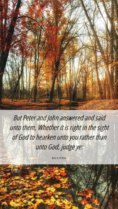 Picture 06 - Acts 4:19 ASV Mobile Phone Wallpaper - But Peter and John answered and said unto them, - Mobile Bible Verse Wallpaper